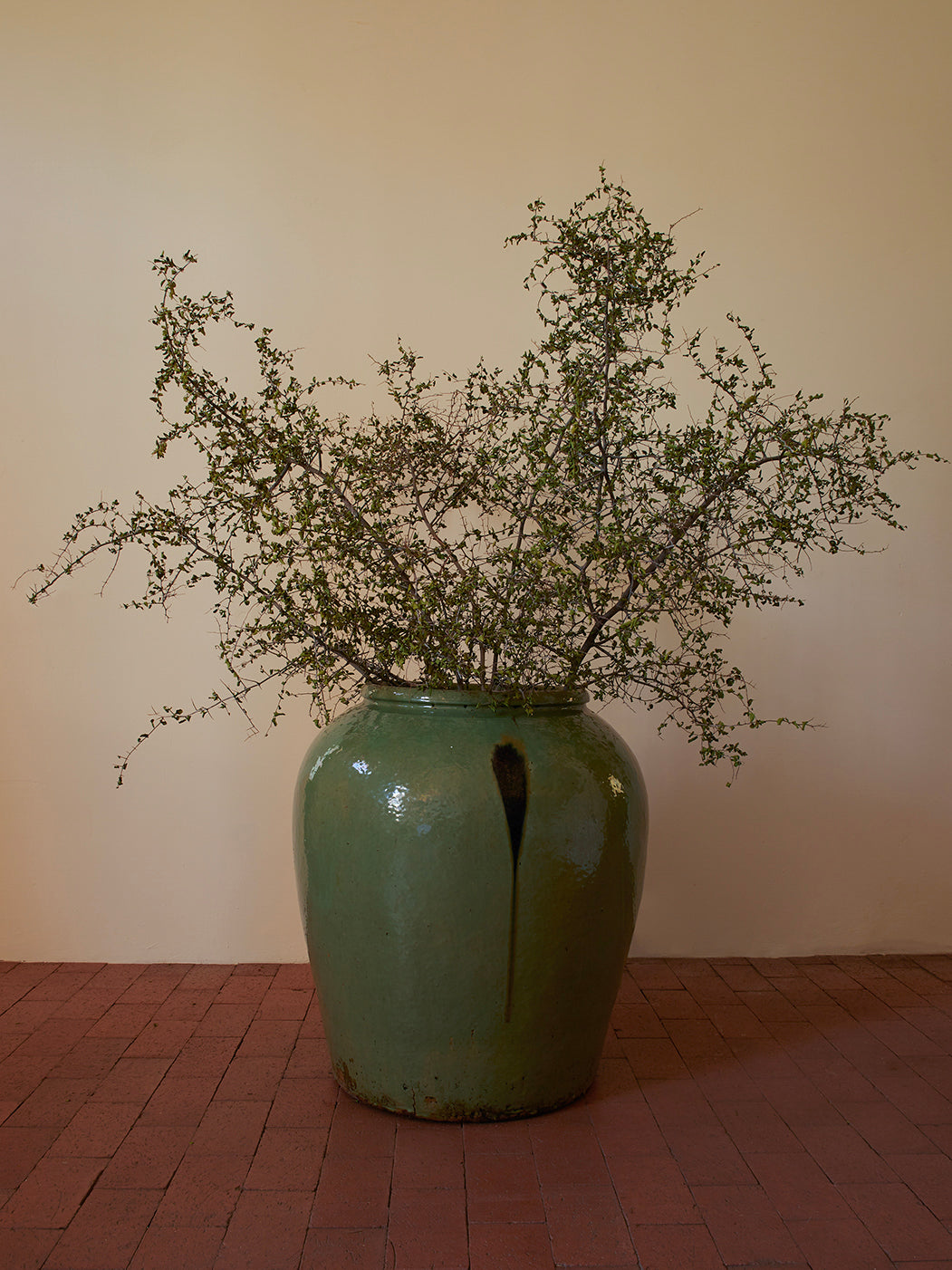 CELADON RAIN JARS
