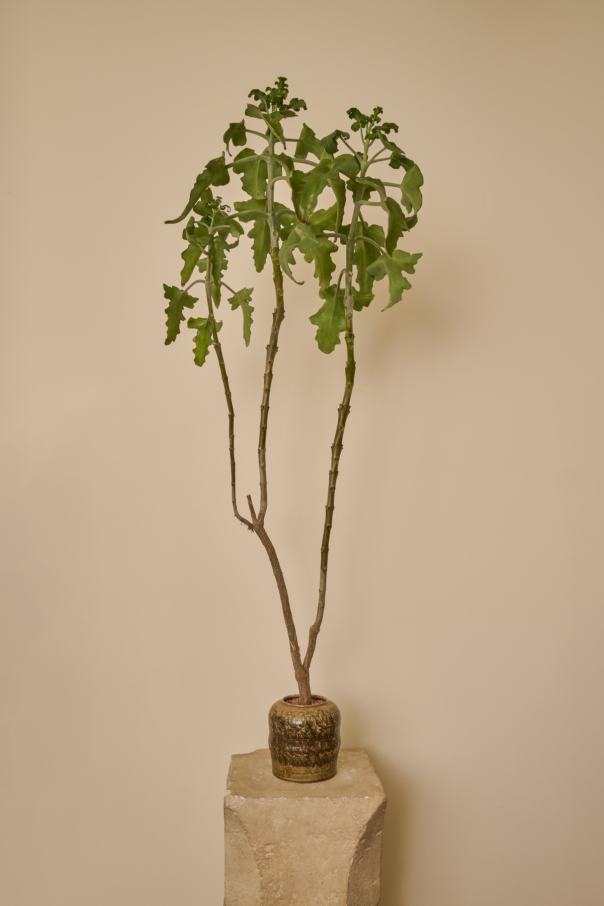STONEWARE VESSEL